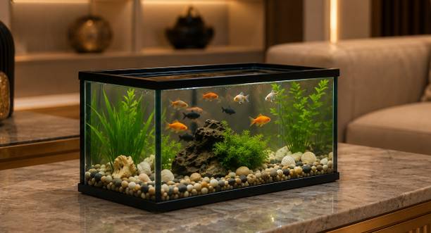 ORGANO AQ12X6X6RB02 ni Rectangle Aquarium Tank