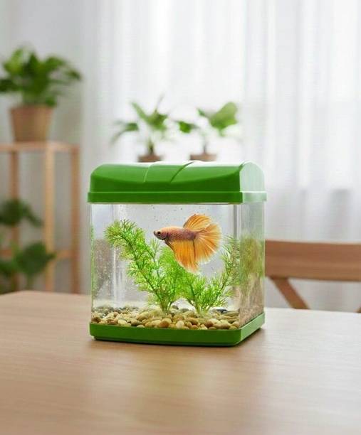 Petscope SQUARE AQUARIUM MINI BETTA FISH TANK(GREEN COLOR) Rectangle Aquarium Tank