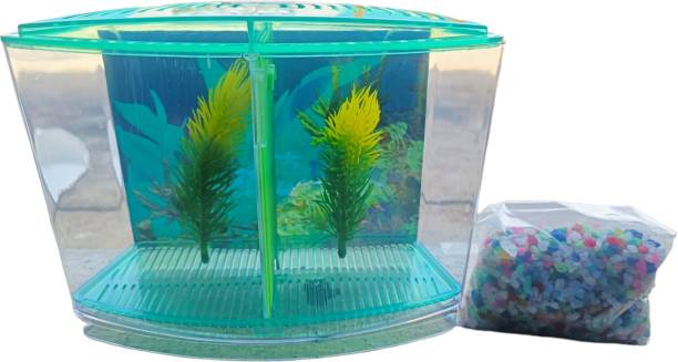 RPM 8 Inches Betta Mini Fish Tank Aqua Green Rectangle Aquarium Tank