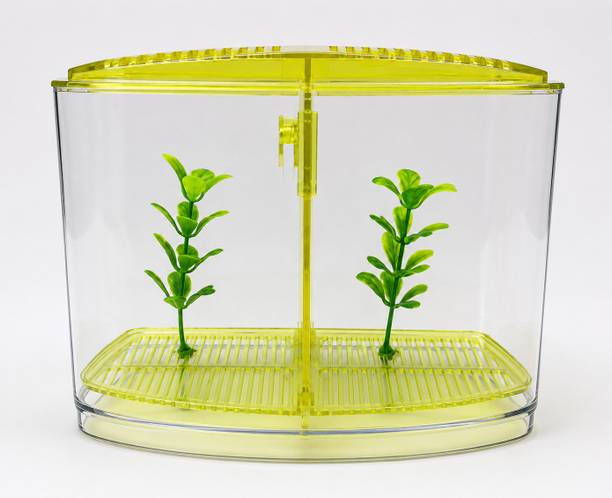 URBAN STORE Double Betta Tank 002 Rectangle Aquarium Tank