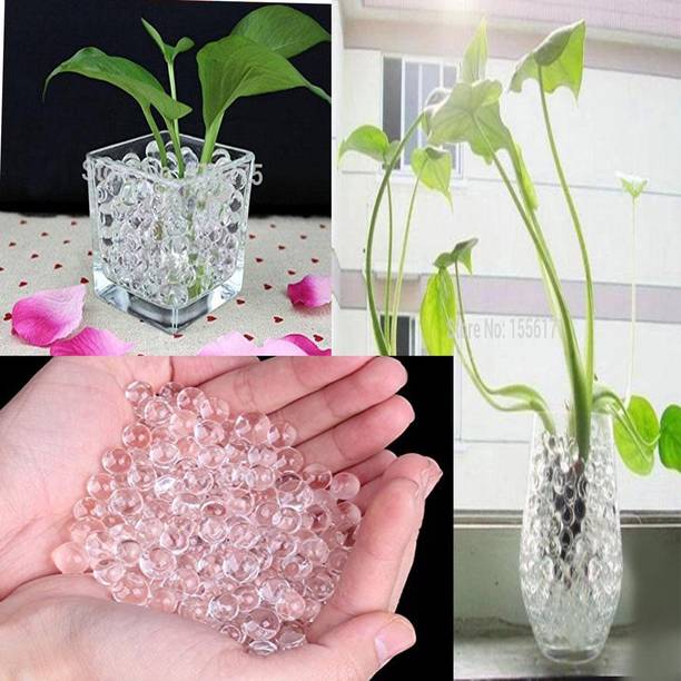 Keedoz Crystal Soil Transparent Magic Water Beads Orbeez / Plant Soil Pack of 6500 Pcs