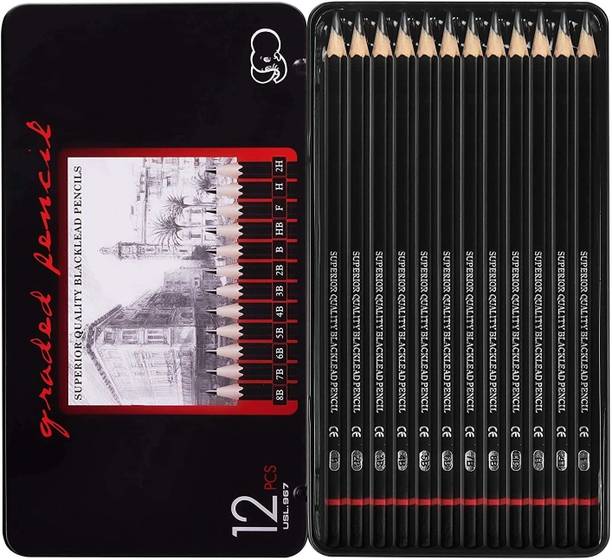 PEACORA Artist Pencil for Sketching Drawing Art Pack of 12 with Metal Case
