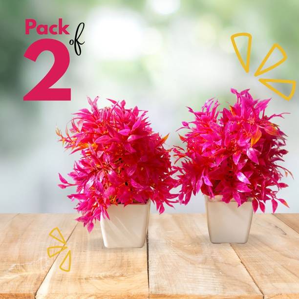 GuddiFlowers BloomNest Pink Artificial Plant with Pot – Pack of 2 Pink Cherry Artificial Flower  with Pot