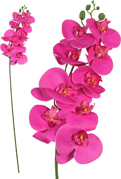 Reiki Crystal Products Orchid Artificial Flower Orchids Bouquet for Home, Wedding Decoration Pink Orchids Artificial Flower