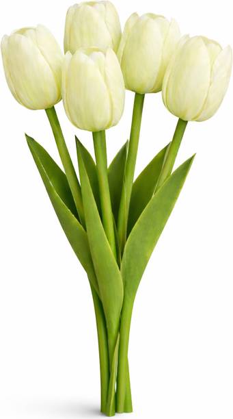ansari brothers Artificial2- Tulips Flower for decor - pack of 5 Green, White, Yellow Tulips, Wild Flower Artificial Flower