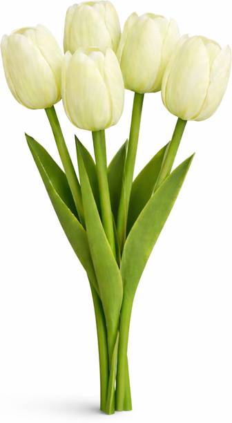 ansari brothers Artificial-White-Tulips-Set of 5 White Lily, Tulips Artificial Flower