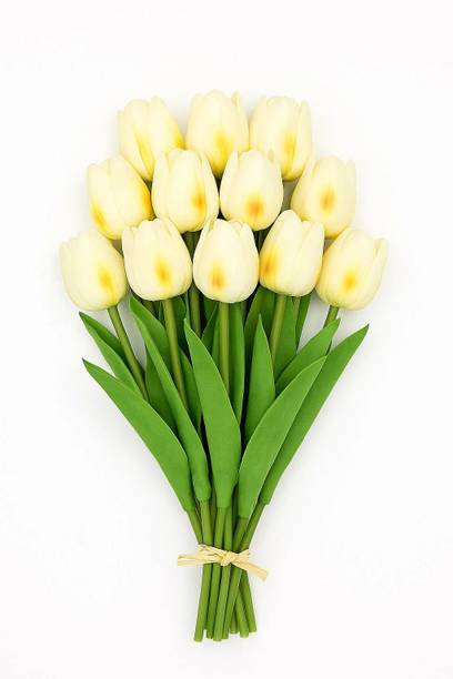 इक्को Tulip Bunch for Vase & Home Decor, for Living Room Corner Table सफेद ट्यूलिप नक़ली फूल