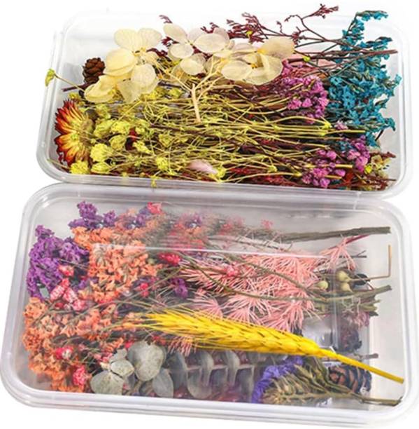 KRAFTMASTERS 2 Box Preserved Multicolored Flowers for DIY Candle Resin Floral Decorations Multicolor Dried Sticks, Lily, Marigold Artificial Flower