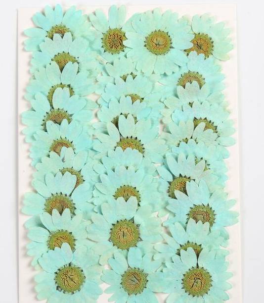 CRAFTARA BY MONIKA Natural Real Green Chrysanthemum Artificial Flower