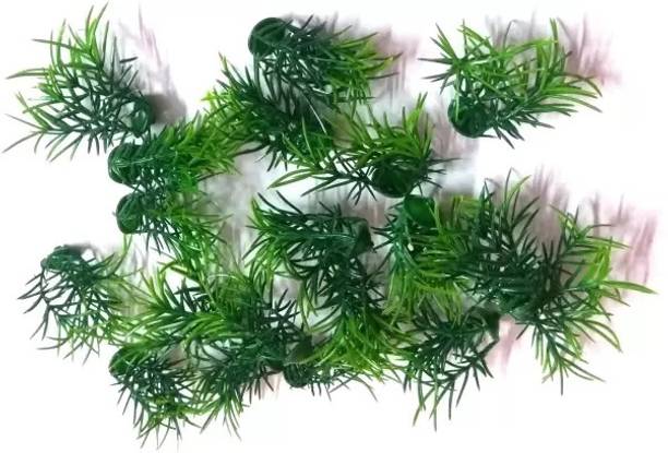 CGC School Project Grass 1 Packet (Around 40 Pic Grass) Artificial Plant Green Wild Flower Artificial Flower