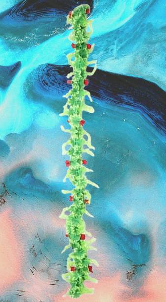 Dynamic Retail Global Artificial Hanging Flowers Plant Wall Hanging Garland Chain Home Decor OR147 Multicolor Rose Artificial Flower