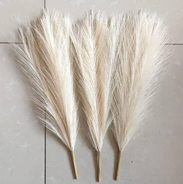 Satyam Kraft Artificial Dried Pampas Grass For Wedding, Home Decoration - (Off White) 3pcs White Dried Sticks Artificial Flower