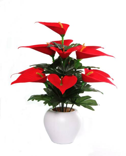 Wild Flower Anthurium Banch with Pot Red Anthurium Artificial Flower  with Pot