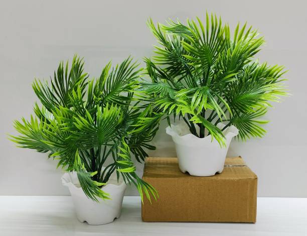 ADIRSA Artificial Palm Leaf Plant with White Pot Bonsai Potted Plastic Faux Green Grass Green Wild Flower Artificial Flower  with Pot