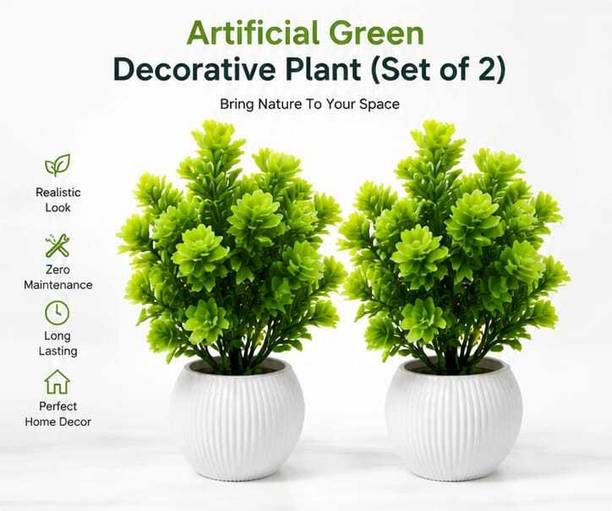 Arshi Home Green Wild Flower Artificial Flower  with Pot
