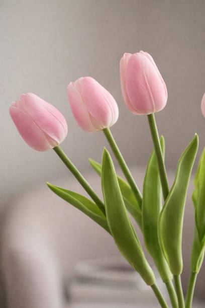 DecorBloom Artificial- PinkWhite-Tulips for decor Pack of 3 Pink, White, Green Tulips, Wild Flower Artificial Flower