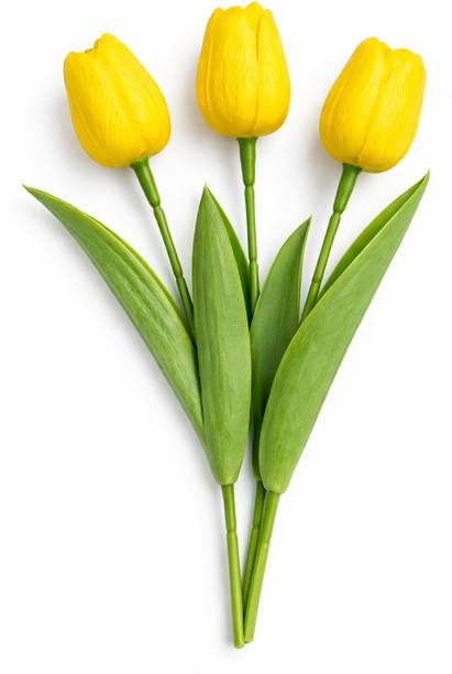 ansari brothers Artificial2- Yellow Tulips For Home,Wall, Balcony Decoration Pack of 3 sticks Yellow, Green Tulips Artificial Flower