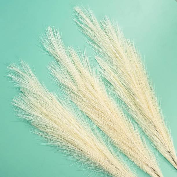 Nimkar's Artificial Dried Pampas Grass | Fluffy Grass Stick Home Decor White Dried Sticks White Dried Sticks Artificial Flower