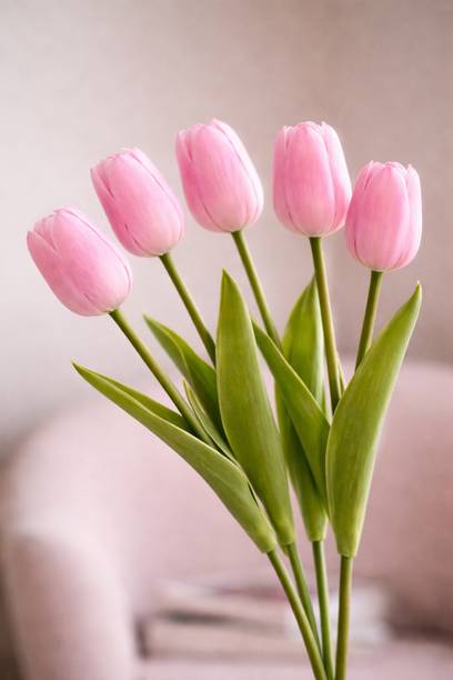 DecorBloom Pink, White, Green Tulips, Wild Flower Artificial Flower