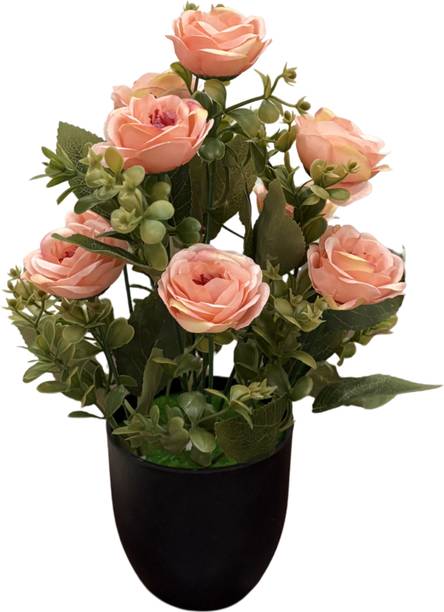qubira essentials Artificial Peach Rose Flower Plant with Black Pot | Faux Floral Arrangement Multicolor Rose Artificial Flower  with Pot