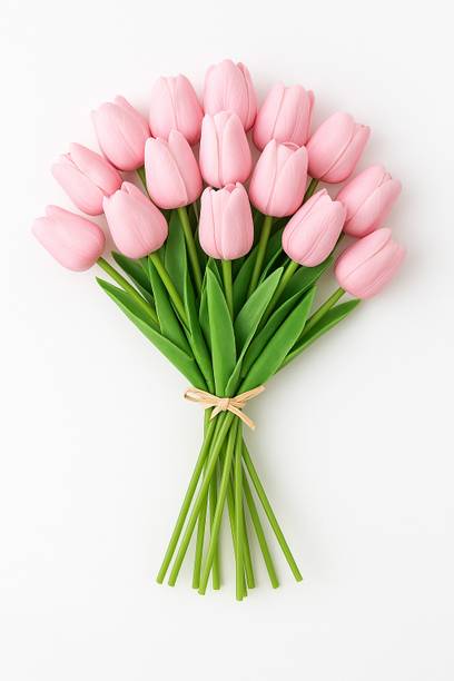 Ikko Tulip Bunch for Home Decoration, For Living, Room, Corner Table, Real Feel Pink Tulips Artificial Flower