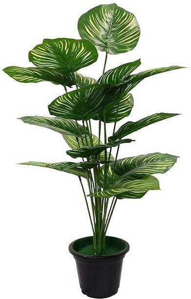 De Gardenia Artificial Palm Plants Leaves Faux Turtle Artificial Plant  with Pot
