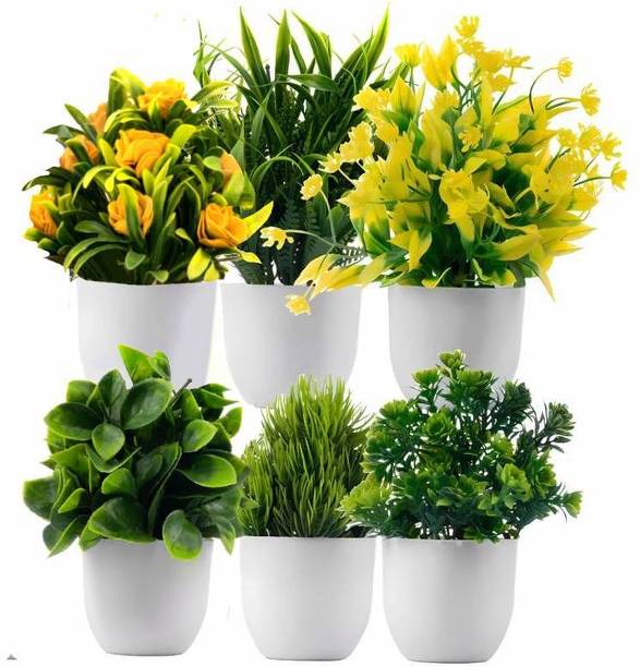 Ryme Mini/Small Pack of 6 Bonsai Wild Artificial Plant  with Pot