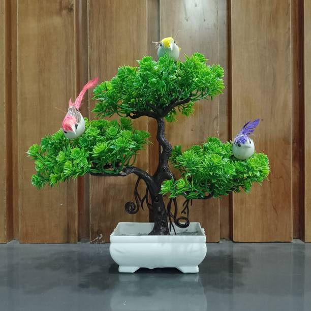 Decogreen PPS G 3BIRDS SHIP POT, H, Office Money Plant Living Room Interior Design Garden Bonsai Wild Artificial Plant  with Pot