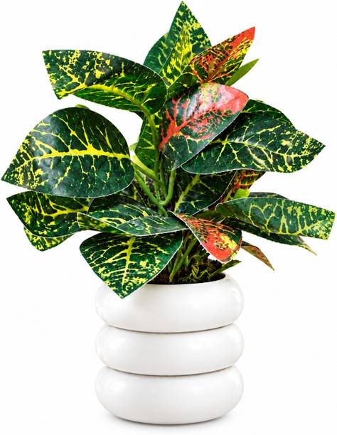 INFINITYWORLD Artificial Plant  with Pot