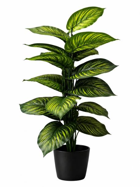 KHD Premium Artificial 18 leaf green Plant with Black Port–Indoor Decorative Plant Green Orchids Artificial Flower  with Pot