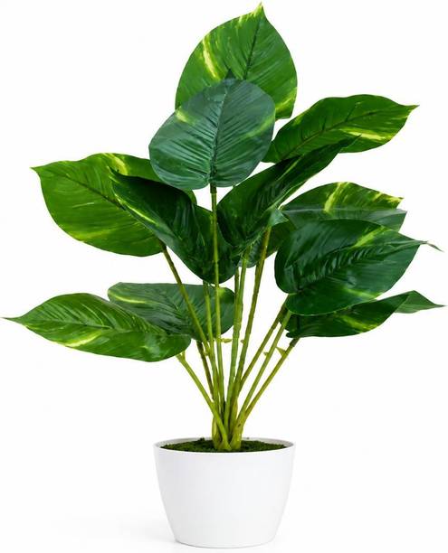CraftBloom Artificial Plant  with Pot