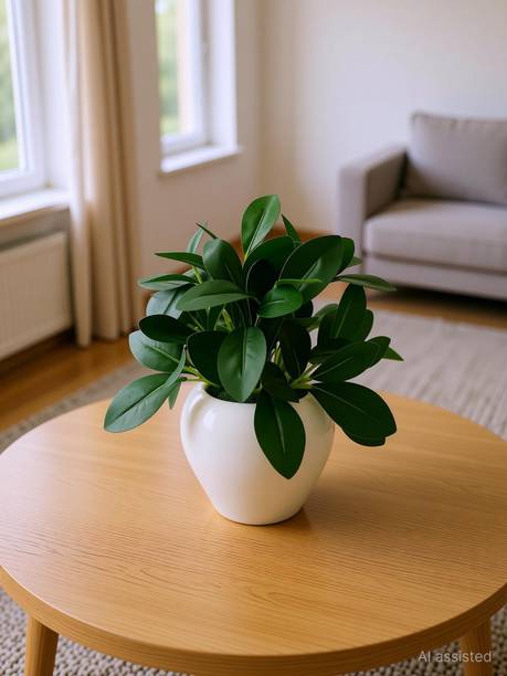 fancymart Rubber Plant in White Apple Pot for Home and Office Decor Plants for Decoration Artificial Plant  with Pot