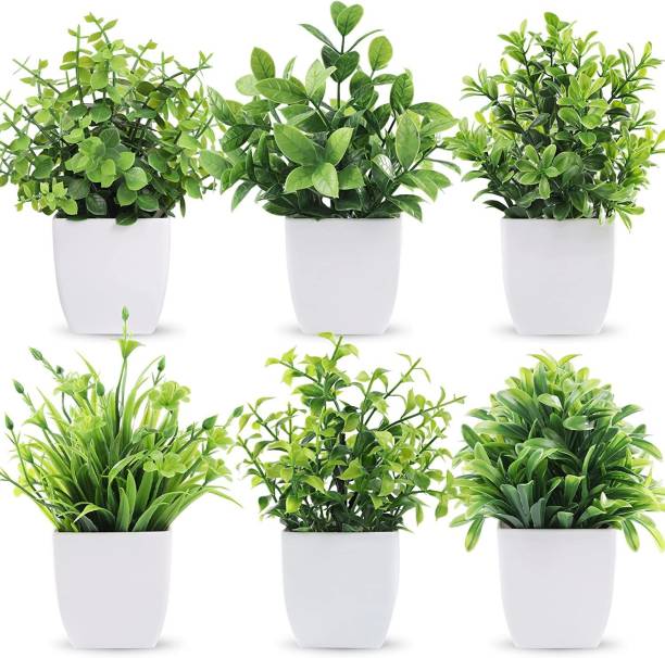Dekorly 6 Packs Fake Small, Mini Indoor (PACK OF 6, Green) Bonsai Wild Artificial Plant  with Pot