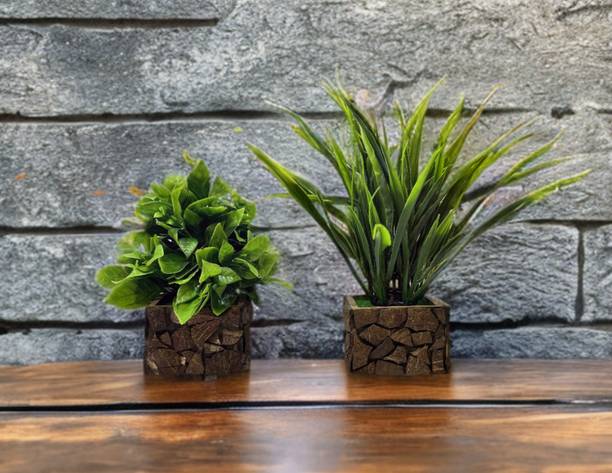 Ryme Pack Of 2 Artificial Plants With Wooden Pot Vase For Home Office Table Decor Bonsai Wild Artificial Plant  with Pot