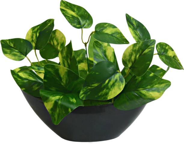 Flipkart Perfect Homes Money Plant Leaves in Shape Pot for Office and Home Decor Artificial Plant  with Pot
