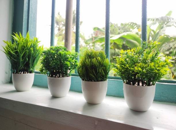 Ryme Small Size Pack Of 4 Bonsai Wild Artificial Plant  with Pot