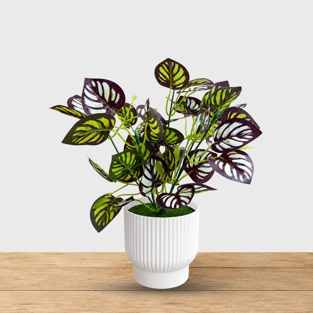 Vistaraa Creations Artificial Plant with Pot | Home and Office Decor | Indoor & Outdoor Fake Plant Artificial Plant  with Pot