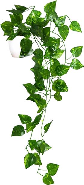 fancymart Vine Plant Falling Artificial Plant  with Pot