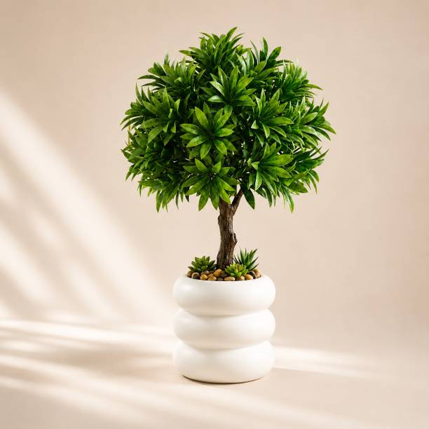Fauxvatika Bonsai Artificial Plant  with Pot