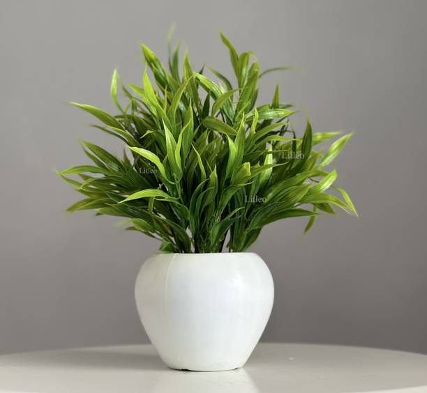 Litleo GoodLuck Leaf , Table top , shelf, for home office decor, Gift Bonsai Artificial Plant  with Pot