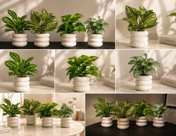 Shankaraa Artificial Plant  with Pot