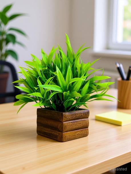 fancymart Bamboo Leaves Plant in Wood Pot with Height : 17 cm Artificial Plant  with Pot