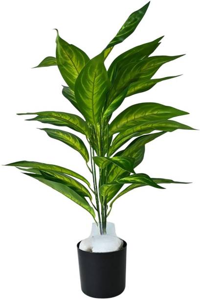 De Gardenia De Gardenia Multicolor Artificial Monstera & Carton Plant with Pot Artificial Plant  with Pot
