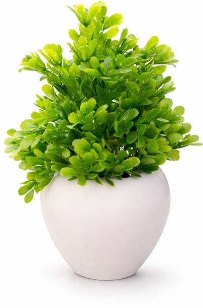 ND FLORA Home & Office Decor Bonsai Wild Artificial Plant  with Pot