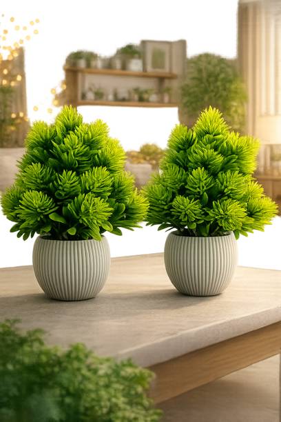Greenora Premium Artificial Plant with White Pot for Home & Office Decoration | Set of 2| Bonsai Artificial Plant  with Pot