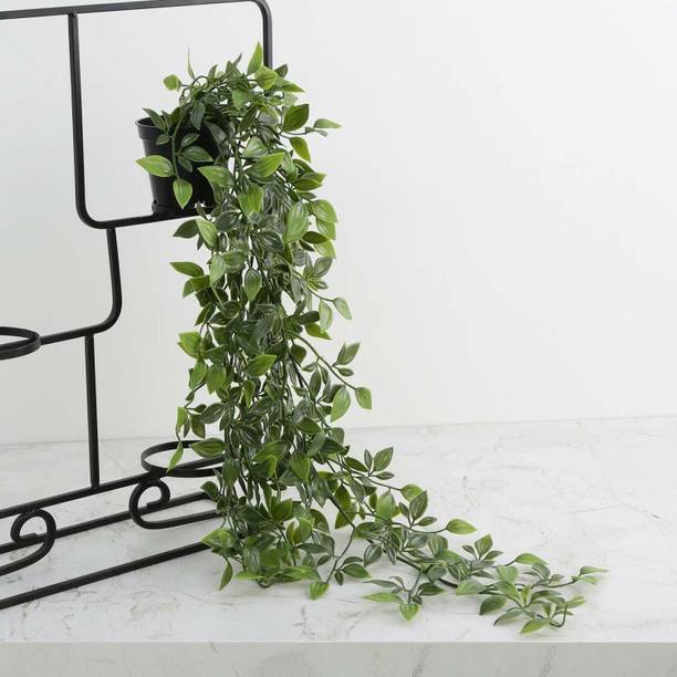HOMESTIC Artificial Vine Plant with Plastic Pot (Green, 1 Piece) Wild Artificial Plant  with Pot