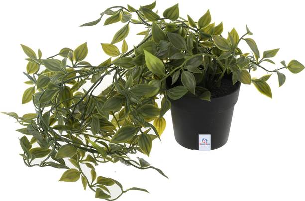 Heart Home Bonsai Wild Artificial Plant  with Pot