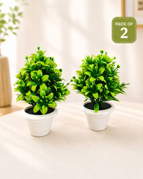 BloomNest Living Bonsai Wild Artificial Plant  with Pot
