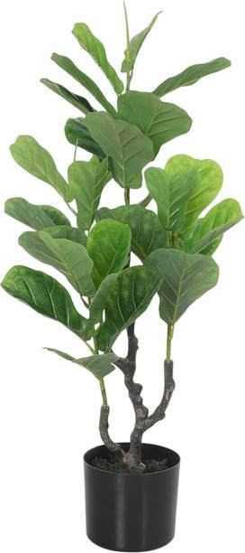 De Gardenia De Gardenia Artificial Fiddle Leaf Fig Tree | 90 cm Tall Faux Green Plant Artificial Plant  with Pot