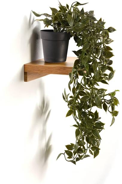 KUBER INDUSTRIES Mini Plastic Potted Vine Plant for Home Office Decoration, Plastic Vine with Black Plastic Pots, Fake Plant for Bathroom Décor, Green-33_S_KUBQMART11602 Wild Artificial Plant  with Pot